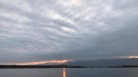 甲子園浜　３日連続　キビレ